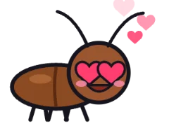 Telu, the KAVACH FILES cockroach